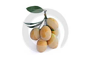 Fresh ripe Sweet Yellow Marian Plum or Plum Mango Thai people call Ma Yong Chit bunch on white background.