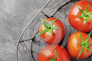 Fresh ripe tomatoes in a basket on a concrete tectrut background.