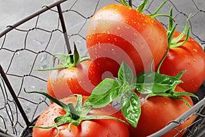 Fresh ripe tomatoes in a basket on a concrete tectrut background. Top view. View from above.