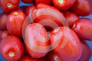 Fresh ripe tomatoes Bursa tomato