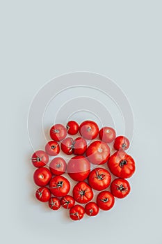 Fresh ripe tomatoes circle shape on white background, vertical photo. Can be used for photo wallpaper