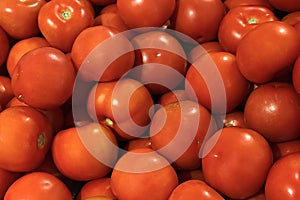 Fresh ripe tomatoes piled on the market. Food backgroumd. Harvest