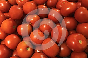 Fresh ripe tomatoes piled on the market. Food backgroumd. Harvest