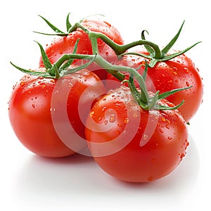 Fresh ripe tomatoes water drops isolated white background. Close-up vegetable. Organic. Vegetarian