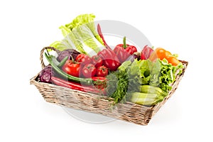 Fresh and ripe vegetables. Healthy organic food