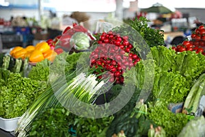 Fresh ripe vegetables and herbs on counter at wholesale market