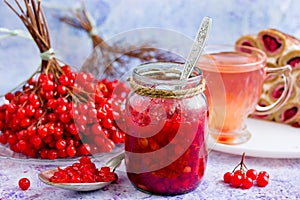 Fresh ripe viburnum berry with sugar
