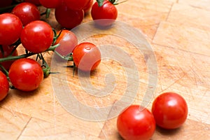 Fresh and ripe vine tomatoes, tomato on the vine