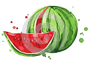 Fresh ripe watermelon watercolor illustration