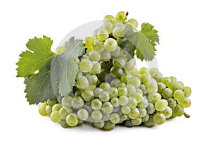 Fresh ripe white grapes