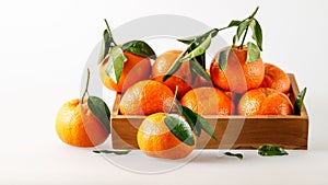 Fresh ripe whole mandarins or tangerines with leaves on wooden box tray