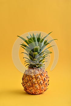 Fresh ripe whole pineapple fruite