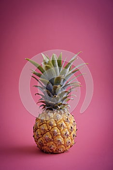 Fresh ripe whole pineapple fruite