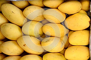 Fresh ripe yellow mango fruits symmetrically to attract buyers at market stall photo