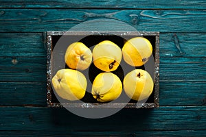 Fresh ripe yellow quince. Fruits in a wooden box.