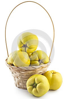 Fresh ripe yellow quinces