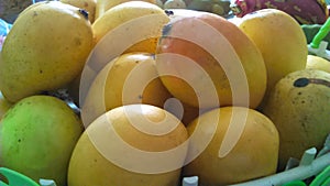 Fresh ripen mangoes