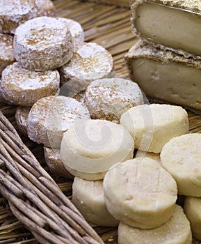 Fresh and ripened goat cheeses on wicker tray photo