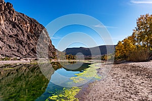 Fresh river in Beautiful Desert oasis nature landscape in Oasis De Fint near Ourzazate in Morocco, North Africa