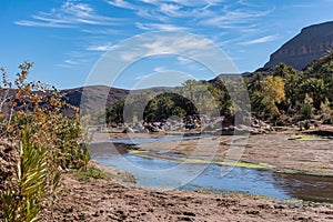 Fresh river in Beautiful Desert oasis nature landscape in Oasis De Fint near Ourzazate in Morocco, North Africa