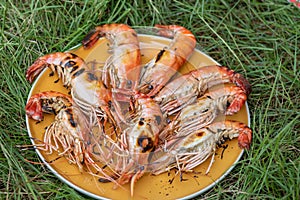 Fresh river prawn grilled on large dishes Local food. Cooking at home. selective focus. Big shrimps