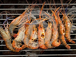 Fresh river prawn grilled on stove