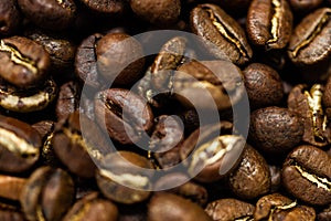 Fresh roasted Arabica coffee beans. Great backgroung. Good for wallpapers or photobackground