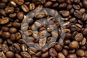 Fresh roasted Arabica coffee beans. Great backgroung. Good for wallpapers or photobackground