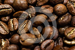 Fresh roasted Arabica coffee beans. Great backgroung. Good for wallpapers or photobackground