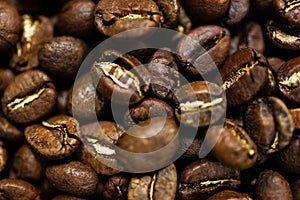 Fresh roasted Arabica coffee beans. Great backgroung. Good for wallpapers or photobackground