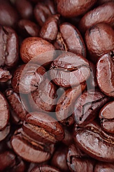 Fresh roasted coffe beans