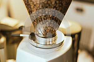 Fresh roasted coffee bean