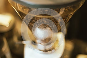 Fresh roasted coffee bean