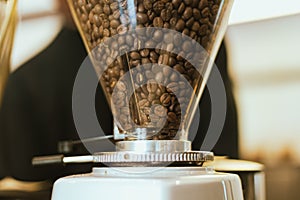 Fresh roasted coffee bean