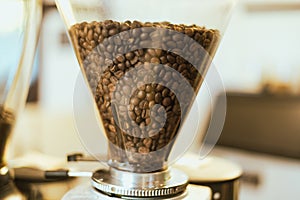 Fresh roasted coffee bean
