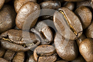 Fresh roasted coffee beans