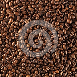 Fresh roasted coffee beans