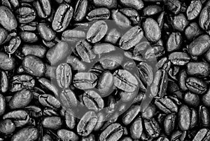 Fresh Roasted Coffee Beans - Black and White