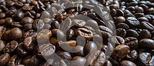 Fresh roasted coffee beans close up. Wide background.