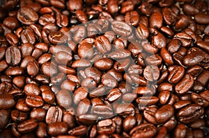 Fresh Roasted Coffee Beans, Espresso, Java