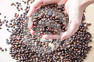 Fresh roasted organic Coffee beans in a woman hands