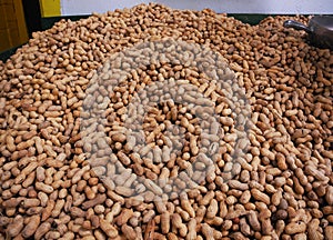 Fresh roasted peanuts