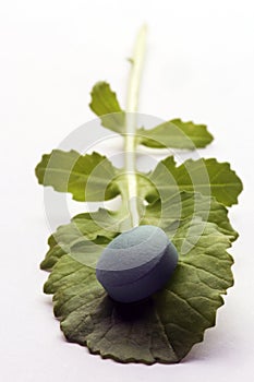 Fresh rocket leaf with green herb pastille on white background.