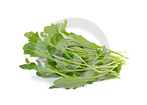 Fresh rocket lettuce leaves or sweet rucola salad isolated on white b