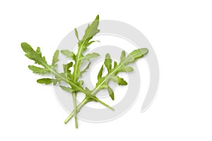 Fresh rocket salad leaves