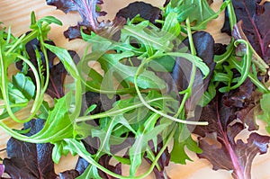 Fresh rocket salad leaves