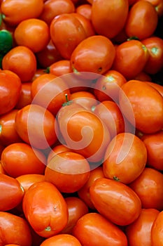 Fresh Roma Tomatoes