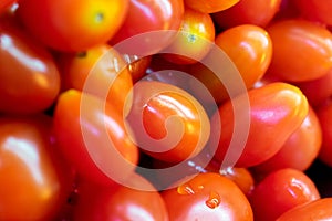 Fresh Roma Tomatoes ready for consumption in a Salad Bar