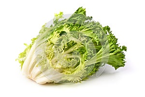 Fresh Romain Lettuce. Crispy endive. close-up, isolated on white background photo