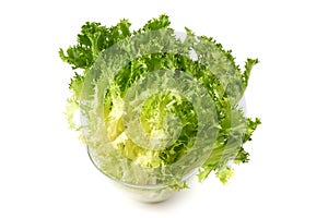 Fresh Romain Lettuce. Crispy endive. close-up, isolated on white background